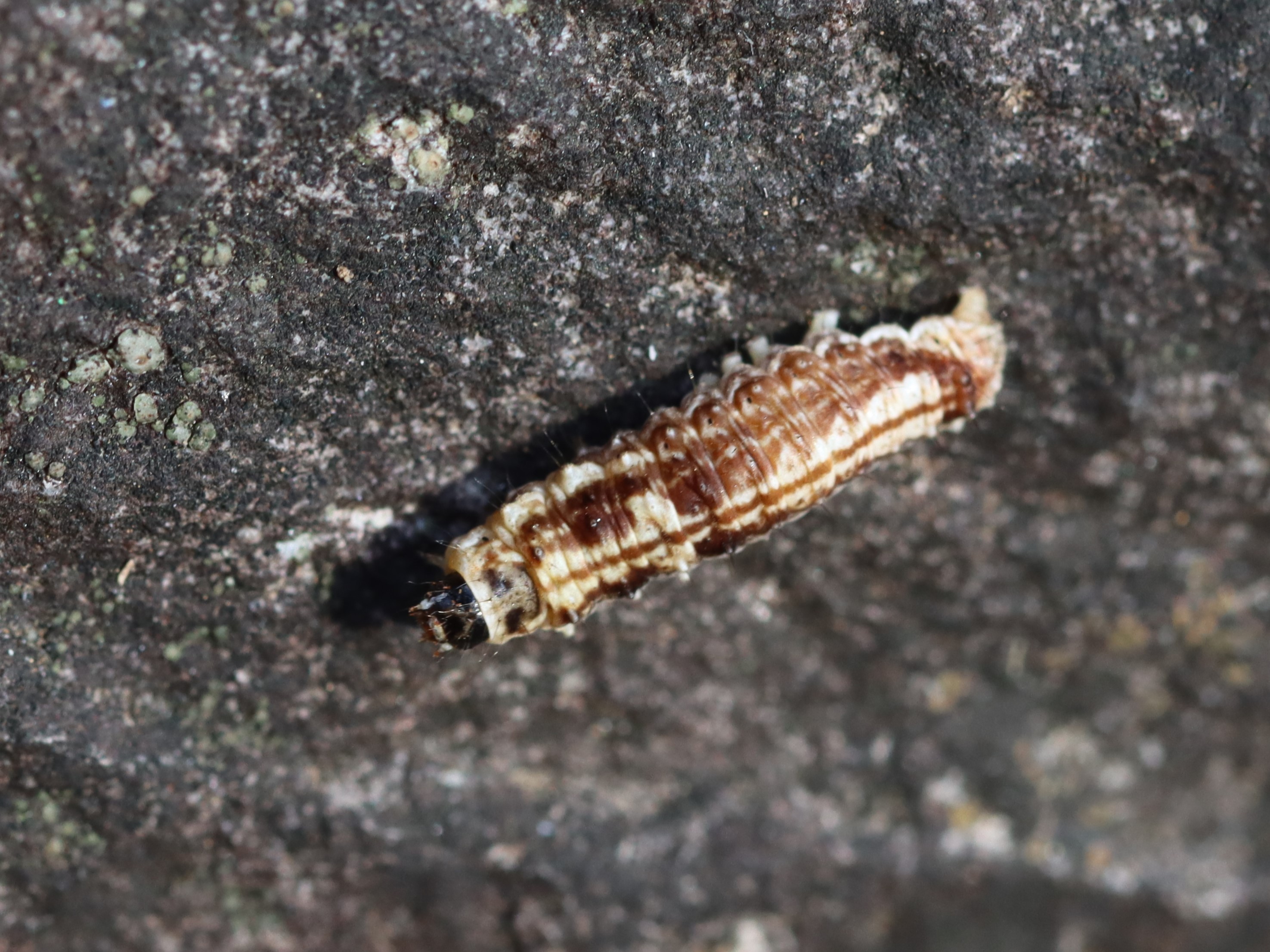 photo_2